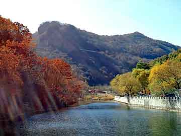 澳门二四六天天彩图库，数码展台